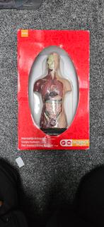 Menselijk Lichaam Model - Nieuw in Doos, Ophalen of Verzenden, Nieuw, Ontdekken