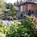 Screens, Tuin en Terras, Gebruikt, Overige typen, Ophalen of Verzenden, Minder dan 250 cm