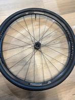 Bontrager paradigm comp 25 wielset, Wiel, Sportief@detweewieler.nl, Racefiets, Nieuw