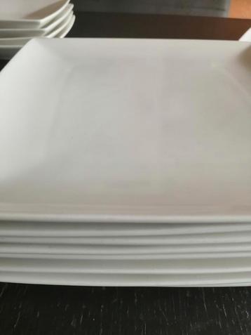 Yong China new bone extra strong platte borden beschikbaar voor biedingen