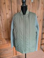 Olijfgroene Hema Bodywarmer - Maat L, Kleding | Dames, Bodywarmers, Maat 42/44 (L), Nieuw, Ophalen of Verzenden, Hema