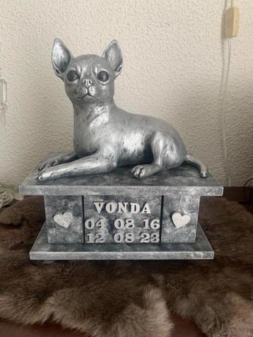 Chihuahua korthaar beeld met kistje als urnen set te koop beschikbaar voor biedingen