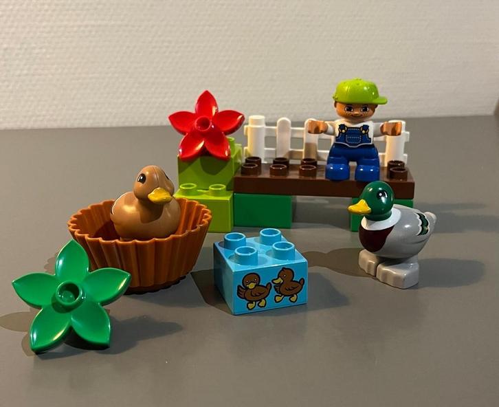 Duplo Bos Eenden (10581) - Complete Set, Kinderen en Baby's, Speelgoed | Duplo en Lego, Gebruikt, Duplo, Complete set, Ophalen of Verzenden