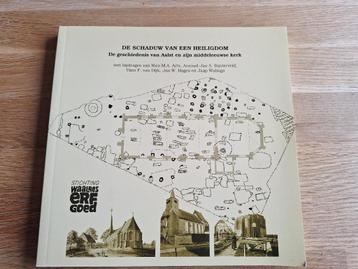 De geschiedenis van Aalst. De schaduw van een heiligdom beschikbaar voor biedingen
