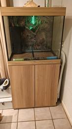 Aquarium zo goed als nieuw. B 70 cm, H 60 cm, D 50 cm., Ophalen of Verzenden, Zo goed als nieuw, Leeg aquarium