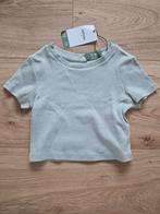 Tshirt Lefties, maat 7-8. Nooit gedragen, Meisje, Nieuw, Ophalen of Verzenden, Lefties