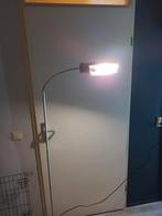 Sun lamp avian, Dieren en Toebehoren, Vrouwelijk, Papegaai