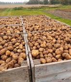 Frieslanders aardappelen, Ophalen of Verzenden