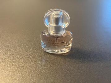 Estee Lauder Mini Beautiful Magnolia Intense EDP eau de parf beschikbaar voor biedingen