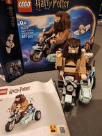 Lego Harry Potter & Hagrid, Kinderen en Baby's, Speelgoed | Duplo en Lego, Ophalen of Verzenden, Zo goed als nieuw, Complete set