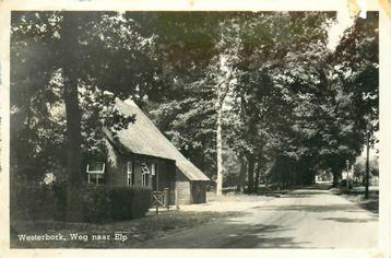 (701-196-037) Westerbork Weg naar Elp beschikbaar voor biedingen