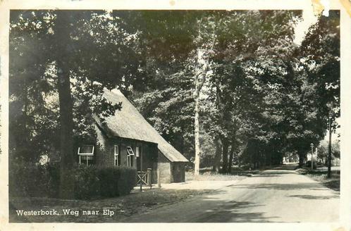 (701-196-037) Westerbork Weg naar Elp, Verzamelen, Ansichtkaarten | Nederland, Drenthe, Verzenden