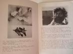 Arta 1975 Pol Jong Jef Diederen Ella van Schaik Kor Bekker, Verzenden, Gelezen, Schilder- en Tekenkunst