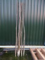 Wilgentakken voor knotwilgen (of paaltjes), Bloeit niet, Overige soorten, 100 tot 250 cm, Ophalen