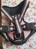 Honden halsband nieuw, Ophalen of Verzenden, Nieuw