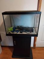 Aquarium met onderkast, Ophalen