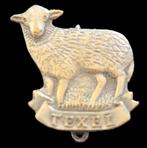 Texel broche- met schaap, Verzenden, Nieuw, Stad of Land, Speldje of Pin