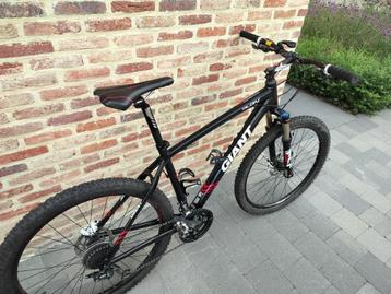 Giant Talon  beschikbaar voor biedingen