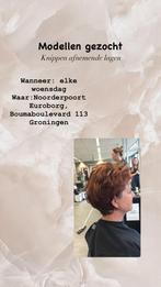 Model gezocht, Overige vormen