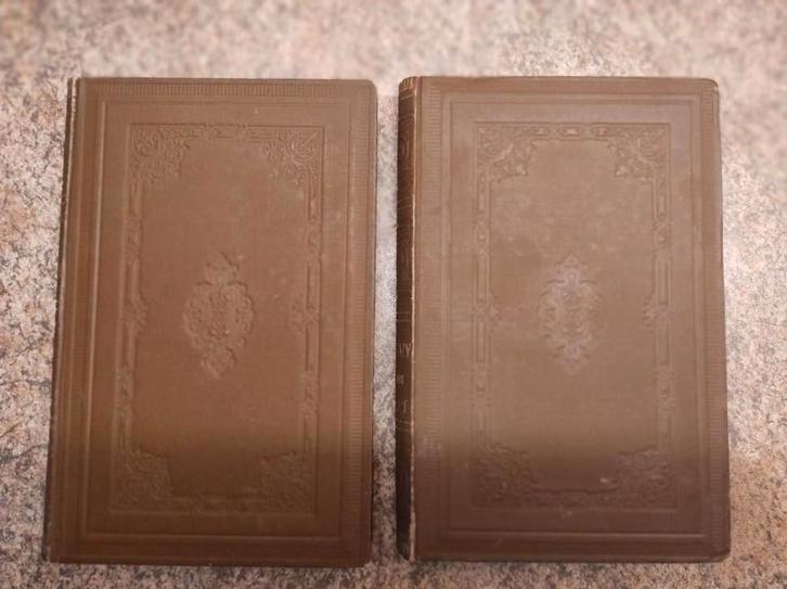 Verklaring Johannes Calvijn. Handelingen deel 1 en 2  1899, Boeken, Godsdienst en Theologie, Zo goed als nieuw, Ophalen of Verzenden