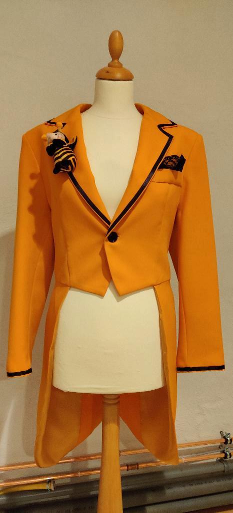 slipjas, geel, Kleding | Heren, Carnavalskleding en Feestkleding, Zo goed als nieuw, Kleding, Carnaval, Overige maten, Ophalen of Verzenden