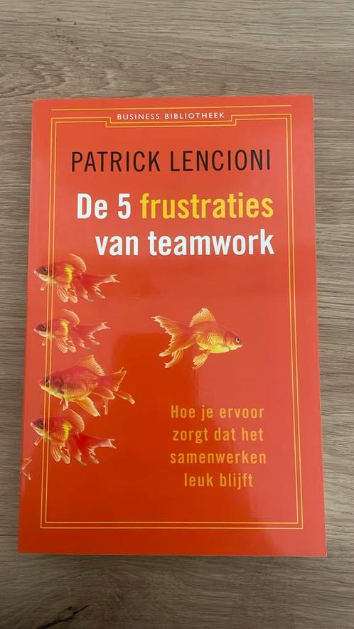 Patrick Lencioni - De 5 frustraties van teamwork, Boeken, Wetenschap, Zo goed als nieuw, Sociale wetenschap, Ophalen of Verzenden