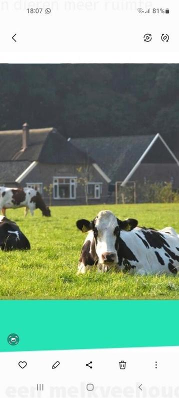 Bijbaan gezocht beschikbaar voor biedingen