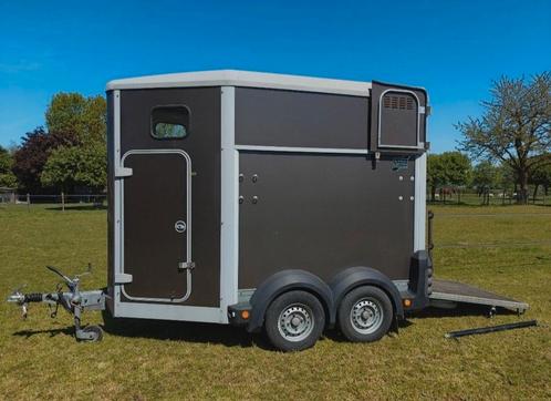Zeer nette Ifor Williams 1,5 paards, alu bodem, vooruitloop, Dieren en Toebehoren, Paarden en Pony's | Trailers en Aanhangwagens