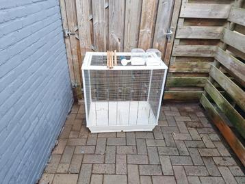Tekoop vogel kooi  beschikbaar voor biedingen
