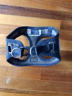 honden tuigje, Ophalen of Verzenden, Nieuw, Hondenriem