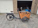 Babboe E-curve bakfiets - goedgekeurd, 4 kinderen of meer, Gebruikt, Elektrisch, Ophalen