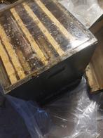 Te koop: Bijenkasten en Honingslingeraar