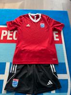 PEC Zwolle Voetbaltenue - Shirt en Broek, Maat M, Ophalen of Verzenden, Zo goed als nieuw, Set