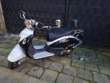 la souris beschikbaar voor biedingen