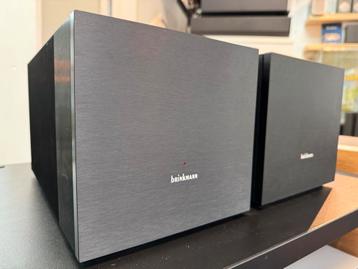 Brinkmann Mono eindversterkers  beschikbaar voor biedingen