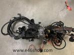 KABELBOOM BMW "5 E39 M57 525D 530D  DIESEL MOTOR, Ophalen of Verzenden, Gebruikt, BMW
