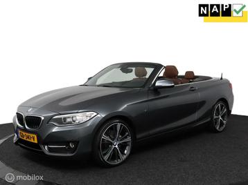 BMW 2-serie Cabrio 220i Sport Aut8 184Pk | NL Auto | Bruin-l beschikbaar voor biedingen