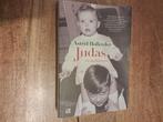 Judas  Astrid Holleeder, Ophalen of Verzenden, Gelezen, Astrid Holleeder