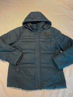 PME legend winterjas, Blauw, Pall Mall PME Legend, Maat 56/58 (XL), Ophalen of Verzenden