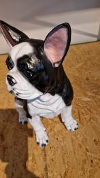 Bulldog, Verzenden