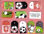 0106) voetbal fc twente, Ophalen of Verzenden, Zo goed als nieuw, F.C. Twente