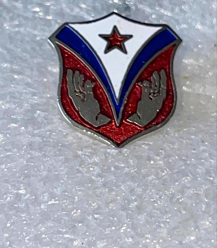 Bijzonder Speldje met Ster en Handen, Verzamelen, Speldjes, Pins en Buttons, Gebruikt, Speldje of Pin, Overige onderwerpen, Ophalen of Verzenden