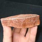 Ruwe Haviksoog edelsteen natuursteen verzameling mineralen, Verzamelen, Mineralen en Fossielen, Ophalen of Verzenden