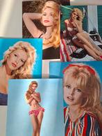 Brigitte Bardot fotos in plakboeken en dossiermappen, Ophalen of Verzenden, Foto of Kaart