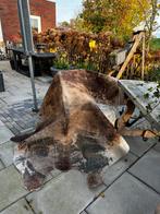 Stoer Koeienhuid Vloerkleed, Gebruikt, Bruin, 150 tot 200 cm, 200 cm of meer