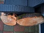 Houtschijven diverse grotes en diktes tot 60 cm doorsee, Tuin en Terras, Haardhout, Minder dan 3 m³, Ophalen
