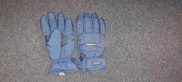 Handschoenen, skien beschikbaar voor biedingen