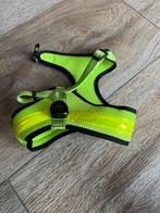 Hondenharnas met verlichting, Dieren en Toebehoren, Honden-accessoires, Ophalen of Verzenden, Nieuw