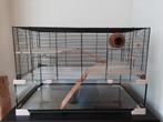 Hamster terrarium / kooi Ferplast Karat 80 met toebehoren, Dieren en Toebehoren, Knaagdieren en Konijnen | Hokken en Kooien, Minder dan 60 cm