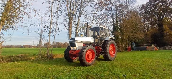 David brown  1690 met weinig uren, Zakelijke goederen, Agrarisch | Tractoren, tot 2500, Overige merken, tot 80 Pk, Gebruikt, Ophalen